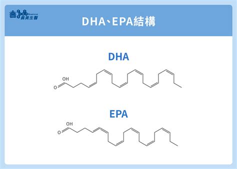 epa結構